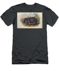 The Common Wombat Vombatus Ursinus C4 Historic Illustrations T-Shirt