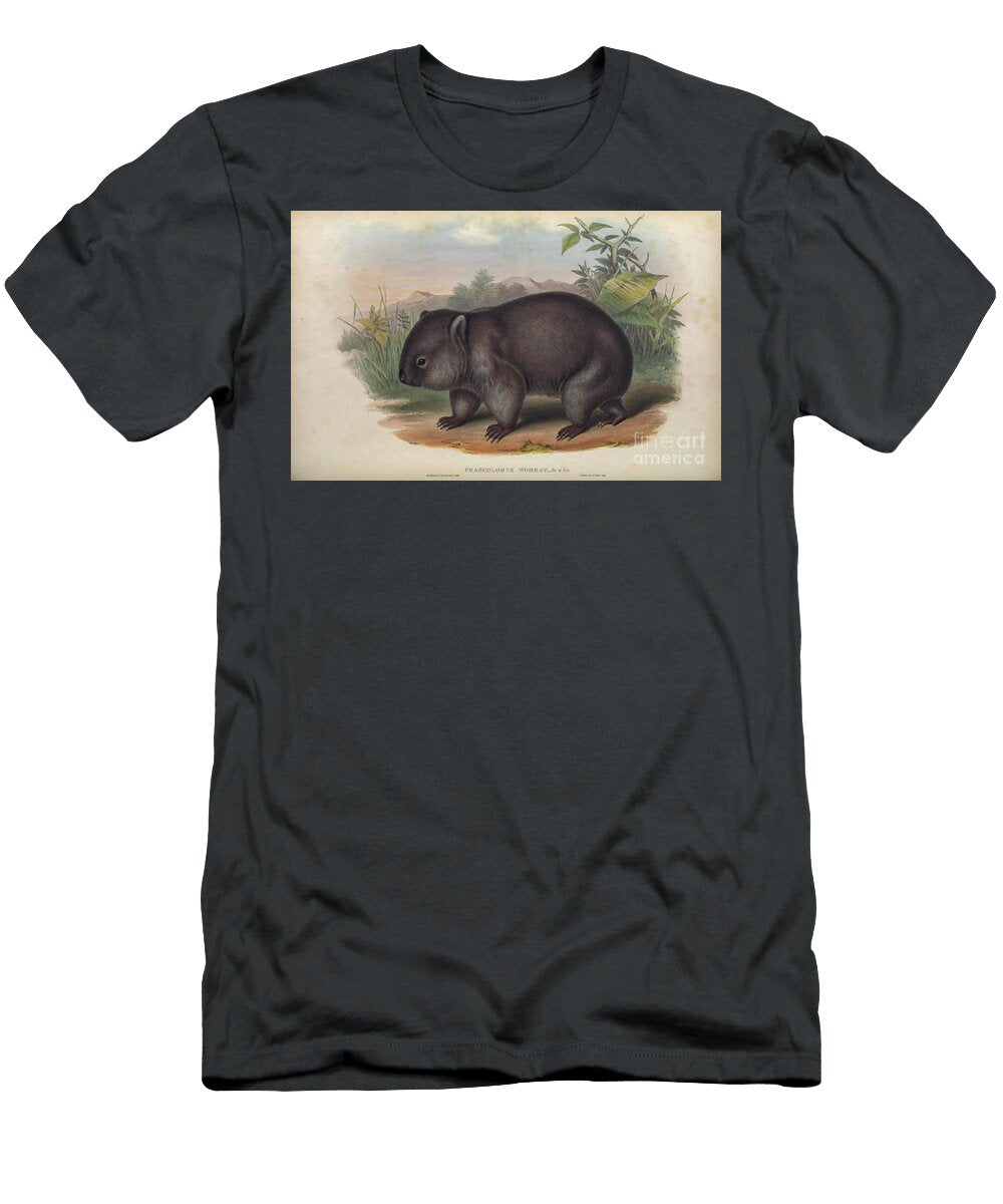 The Common Wombat Vombatus Ursinus C4 Historic Illustrations T-Shirt