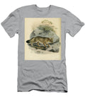 The Corsac Fox Vulpes Corsac C1 Historic Illustrations T-Shirt