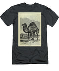 The Dromedary M1 Historic Illustrations T-Shirt