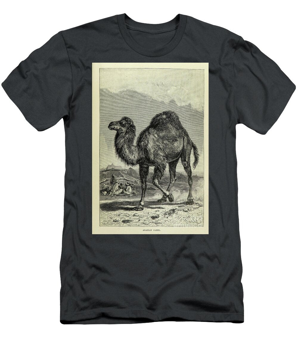The Dromedary M1 Historic Illustrations T-Shirt