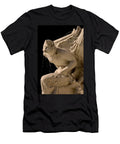The Fountain of the Frogs Particular Angel Soraya Dapuzzo T-Shirt