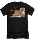 The Fountain of the Frogs the Frogs Particular Soraya Dapuzzo T-Shirt