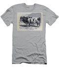 The Friburg Bull M4 Historic Illustrations T-Shirt