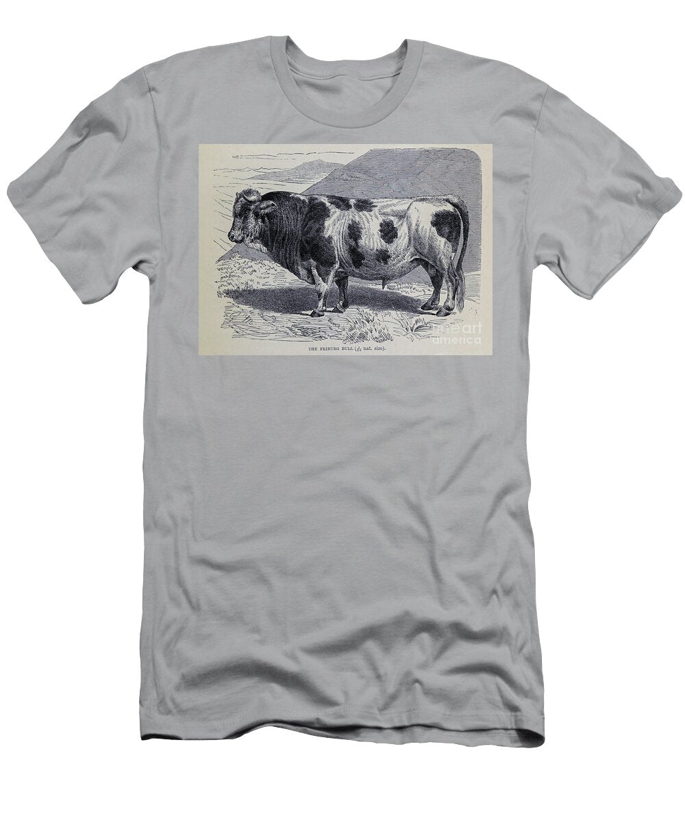 The Friburg Bull M4 Historic Illustrations T-Shirt