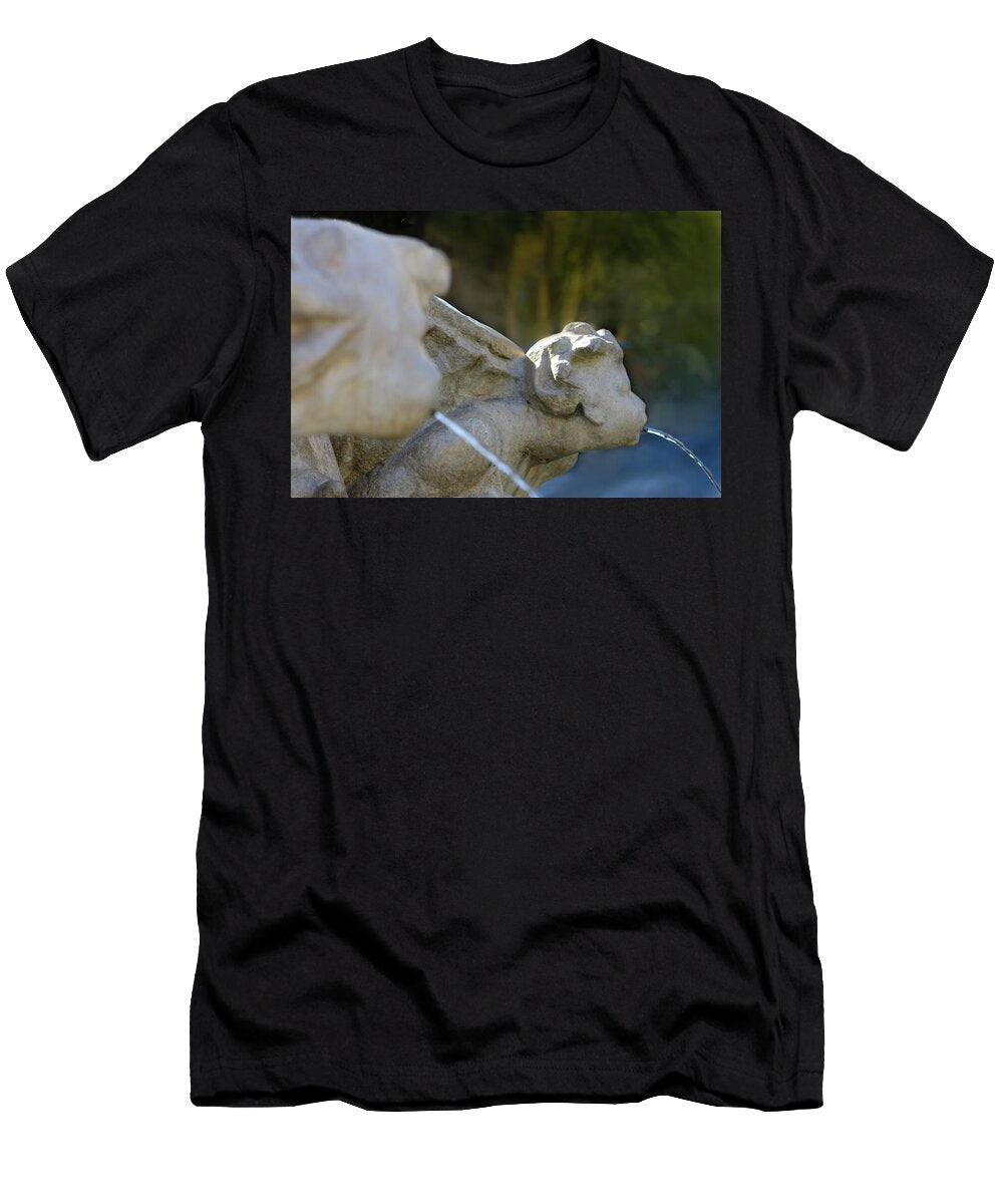 The Frogsies Fountain Detail Soraya Dapuzzo T-Shirt