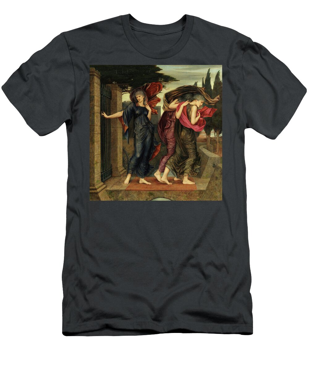 The Grey Sisters Phantoms 1881 Evelyn De Morgan T-Shirt