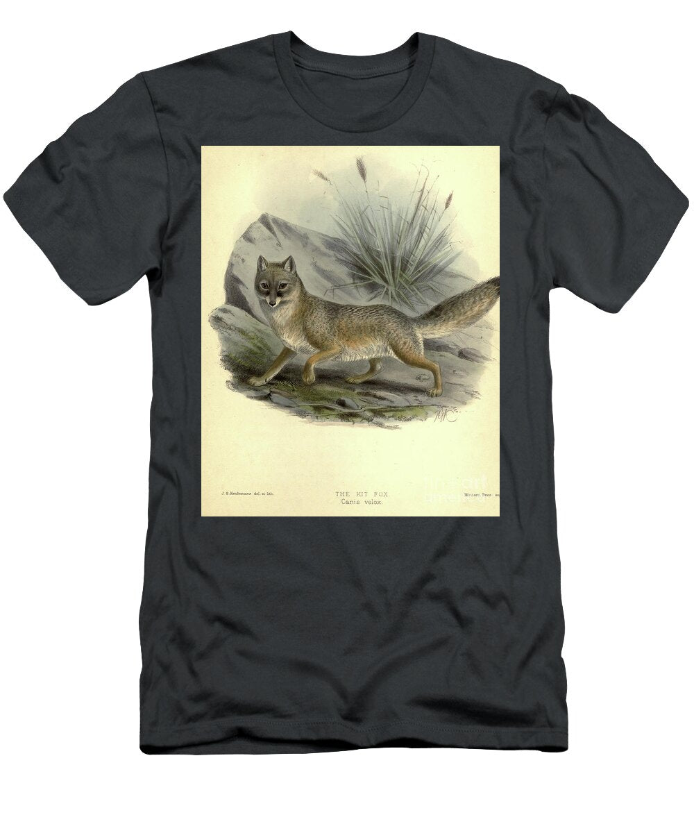 The Kit Fox Vulpes Macrotis C1 Historic Illustrations T-Shirt