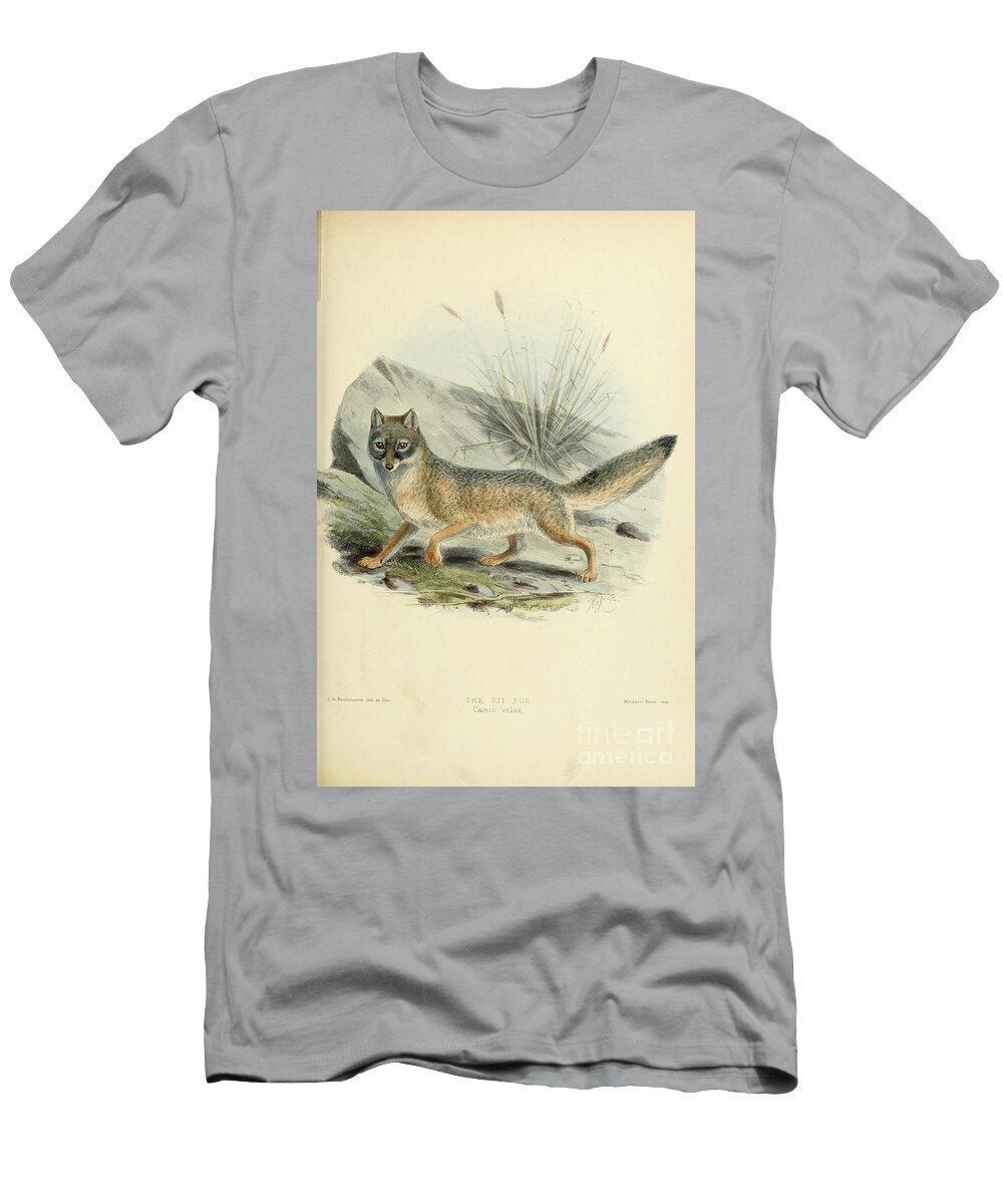 The Kit Fox Vulpes Macrotis C2 Historic Illustrations T-Shirt