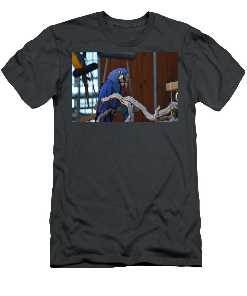The Lecture Lkb Art and Photography T-Shirt
