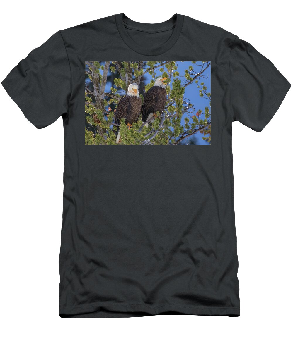 The Lecture Tim Oleary T-Shirt