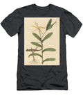 The Lyon Lizard Lacerta Lineata Art Mark Catesby English T-Shirt