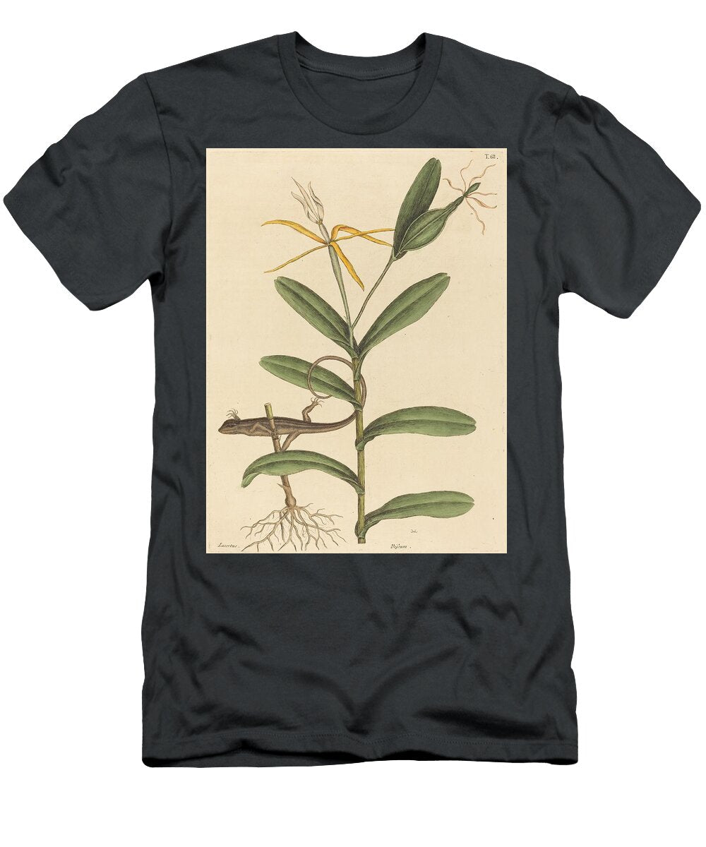 The Lyon Lizard Lacerta Lineata Art Mark Catesby English T-Shirt