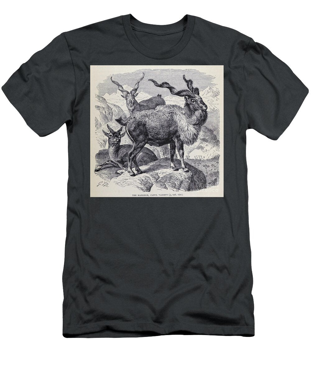The Markhor Cabul Variety M4 Historic Illustrations T-Shirt