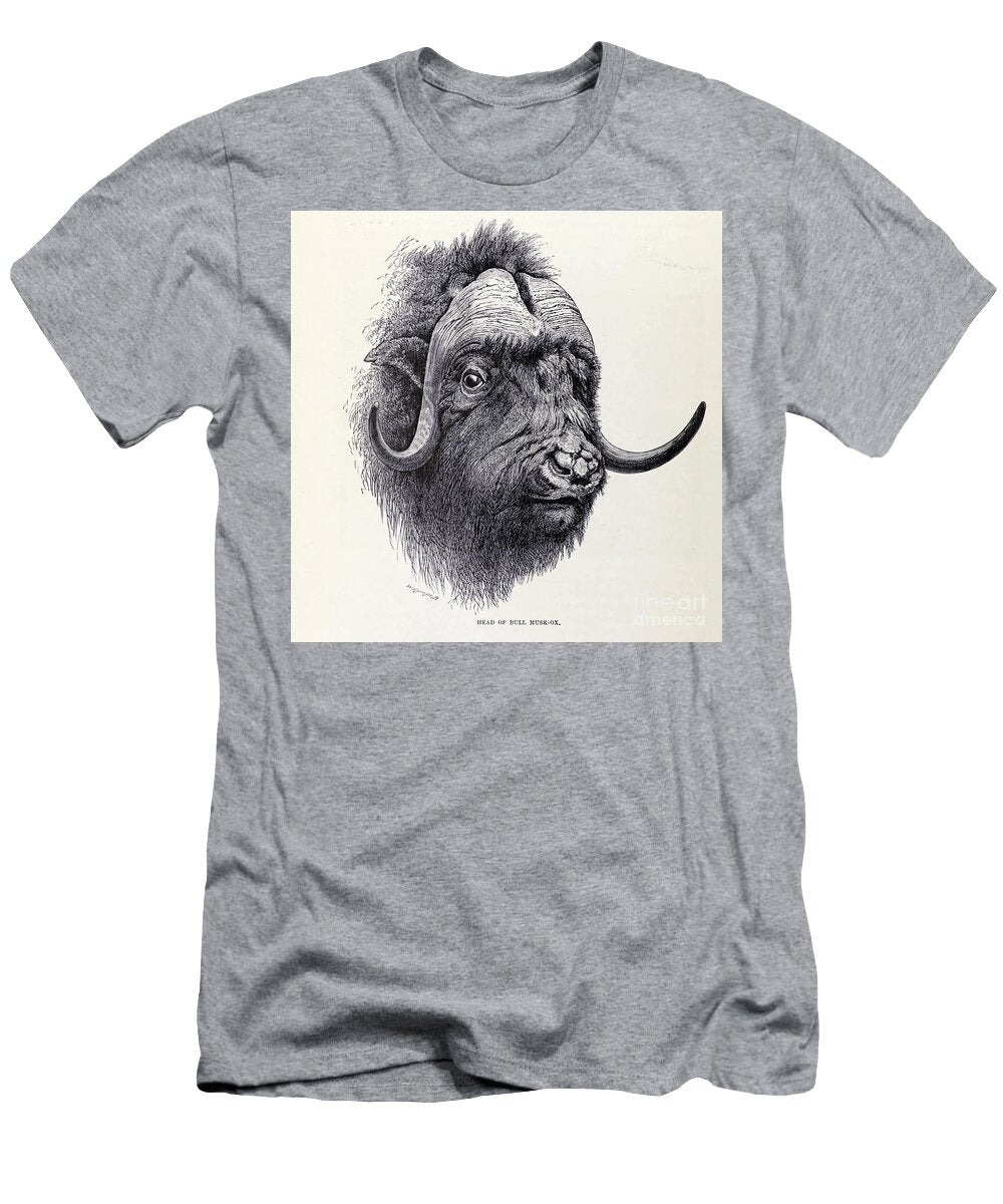 The Musk Ox Ovibos Moschatus M4 Historic Illustrations T-Shirt