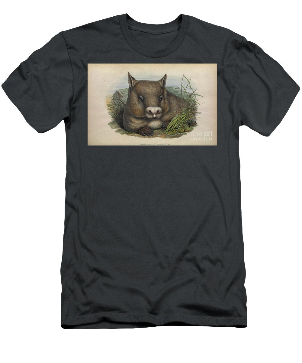 The Northern Hairy Nosed Wombat Lasiorhinus Krefftii C2 Historic Illustrations T-Shirt