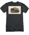 The Northern Hairy Nosed Wombat Lasiorhinus Krefftii C4 Historic Illustrations T-Shirt