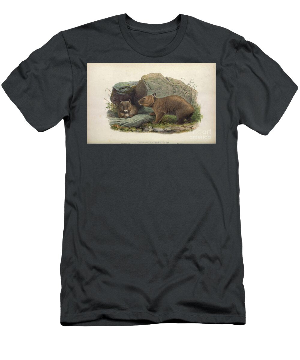 The Northern Hairy Nosed Wombat Lasiorhinus Krefftii C4 Historic Illustrations T-Shirt