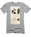 The Pea Pericarp Leguminous and Section of the Fruit of Cherry or Wild Cherry or Birds Sydenham Teast Edwards T-Shirt