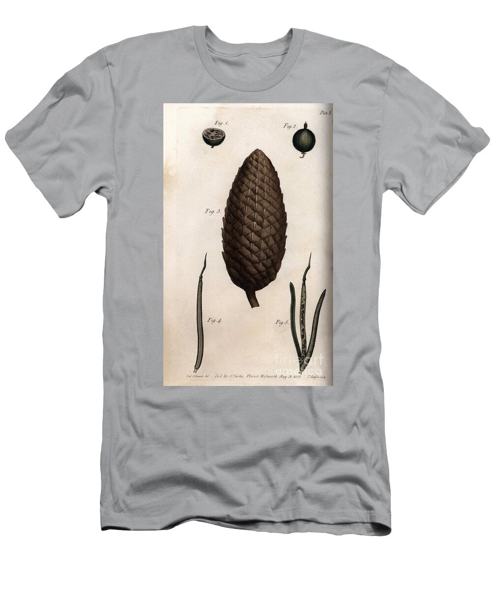 The Pericarp of Gooseberry Has Mackerel Fruit of Scots Pine and Clover Walls or Ravenelle Sydenham Teast Edwards T-Shirt