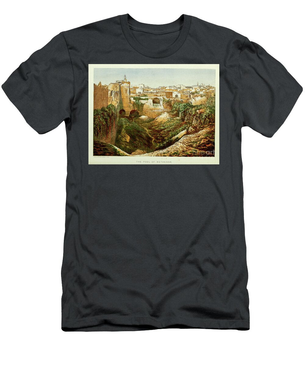 The Pool of Bethesda Jerusalem F1 Historic Illustrations T-Shirt