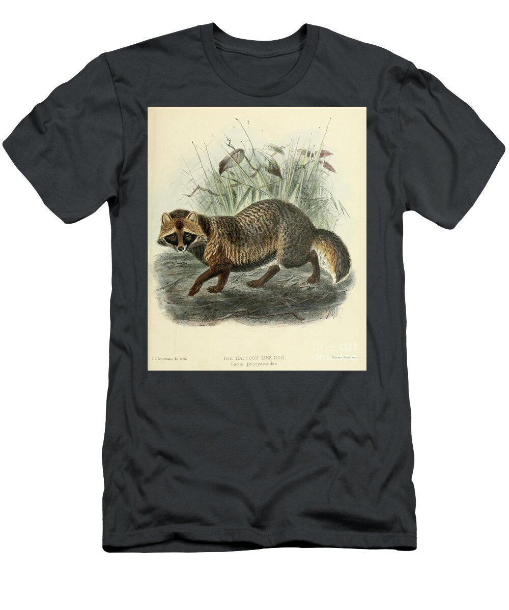 The Raccoon Dog Nyctereutes Procyonoides C1 Historic Illustrations T-Shirt