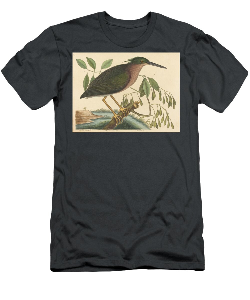 The Small Bittern Ardea Virescens Art Mark Catesby English T-Shirt