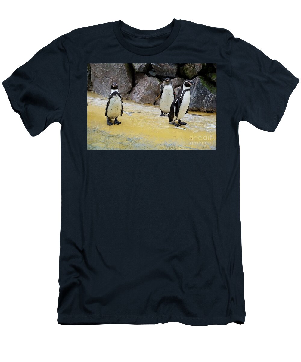 Three Humboldt Penguins Standing in Front of Stone Wall in the Zoo Pisces2386 T-Shirt