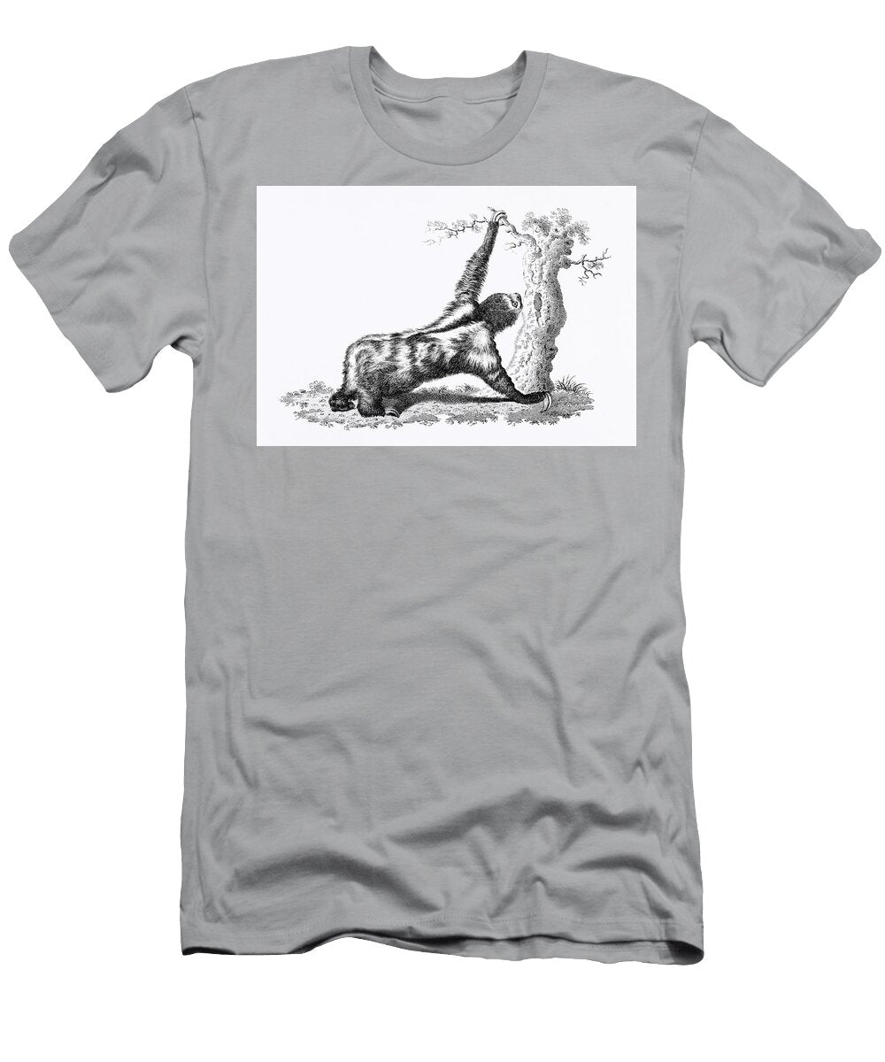 Three Toed Sloth From Zoological Lectures Delivered At the Royal Institution in the Years 1806 7 Ill Les Classics T-Shirt