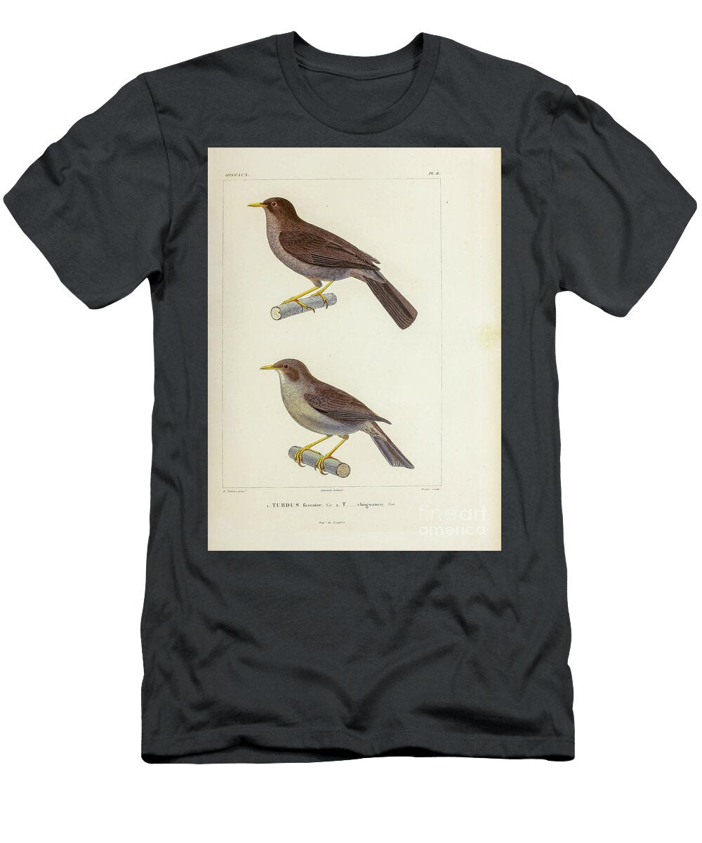 Thrushes of South America 1835 U1 Historic Illustrations T-Shirt
