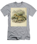 Tibetan Fox Vulpes Ferrilata C1 Historic Illustrations T-Shirt
