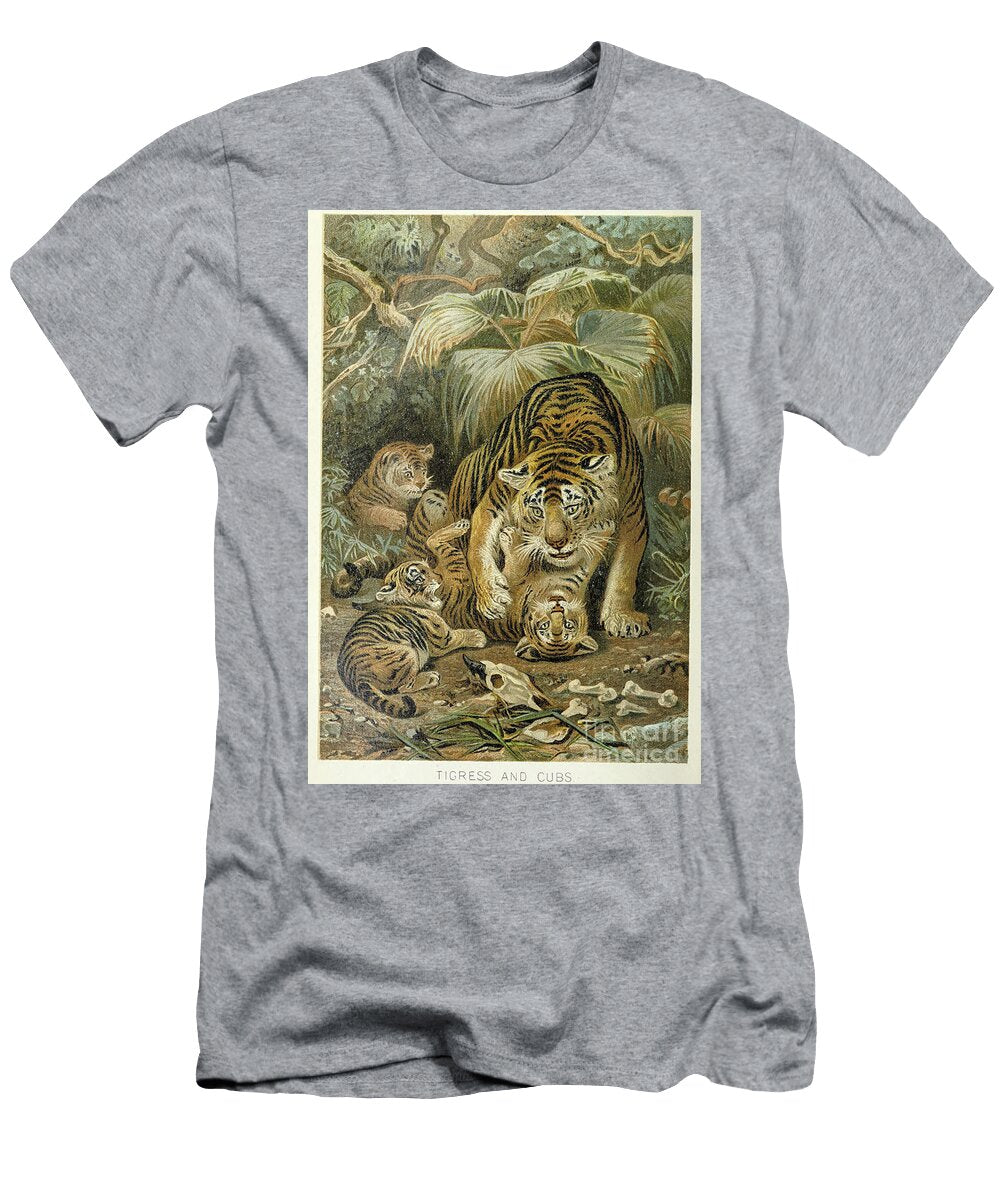 Tigress Panthera Tigris and Cubs L4 Historic Illustrations T-Shirt