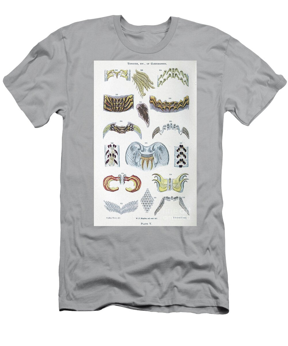 Tiny Organisms Under Microscope K4 Historic Illustrations T-Shirt