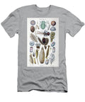 Tiny Organisms Under Microscope K5 Historic Illustrations T-Shirt
