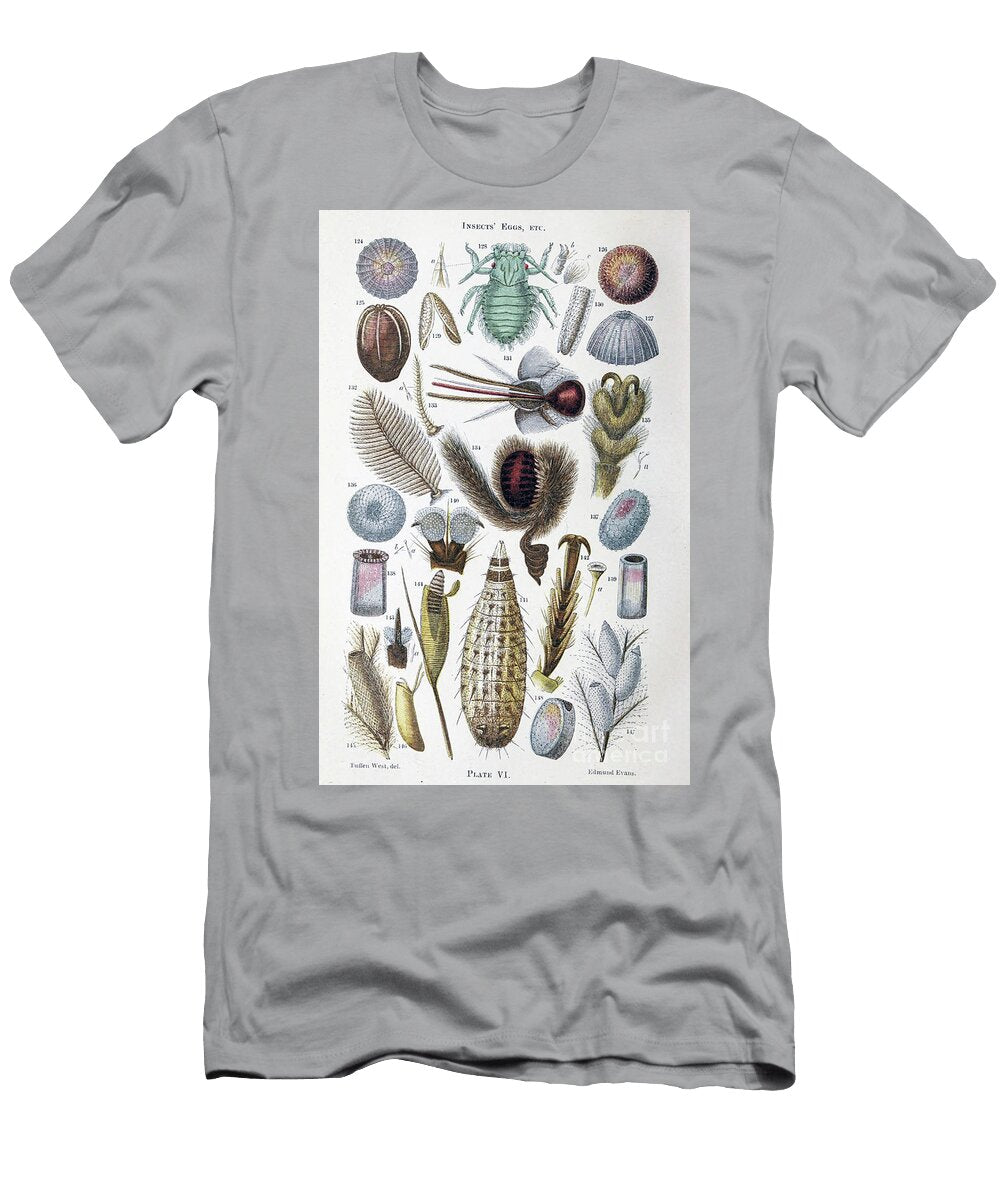 Tiny Organisms Under Microscope K5 Historic Illustrations T-Shirt
