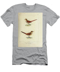 Tit Spinetail and Canastero 1835 U1 Historic Illustrations T-Shirt