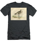 Totanus Semipalmatus the Willet O1 Historic Illustrations T-Shirt