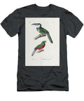 Toucan and Toucanet Birds of South America 1835 U1 Historic Illustrations T-Shirt