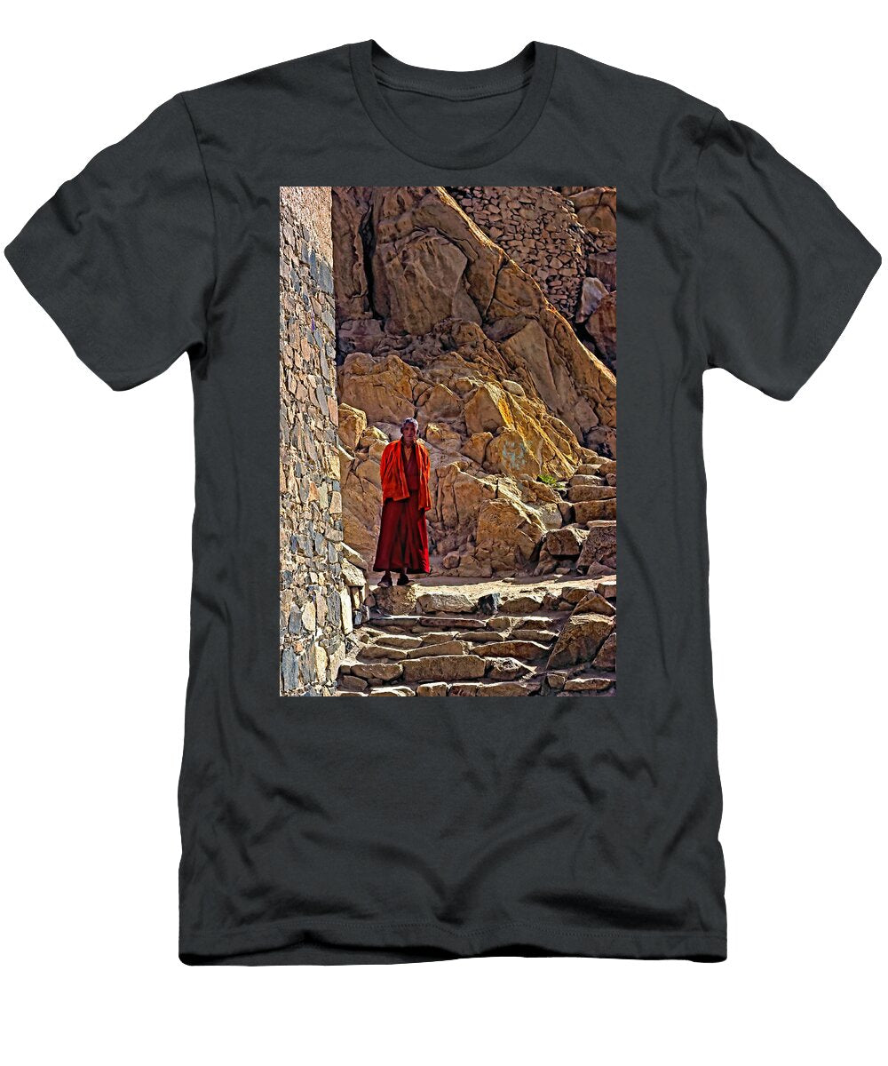Towards Nirvana Steve Harrington T-Shirt