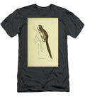 Tree Squirrel Souvenirs From a Voyage to India 1843 R1 Historic Illustrations T-Shirt
