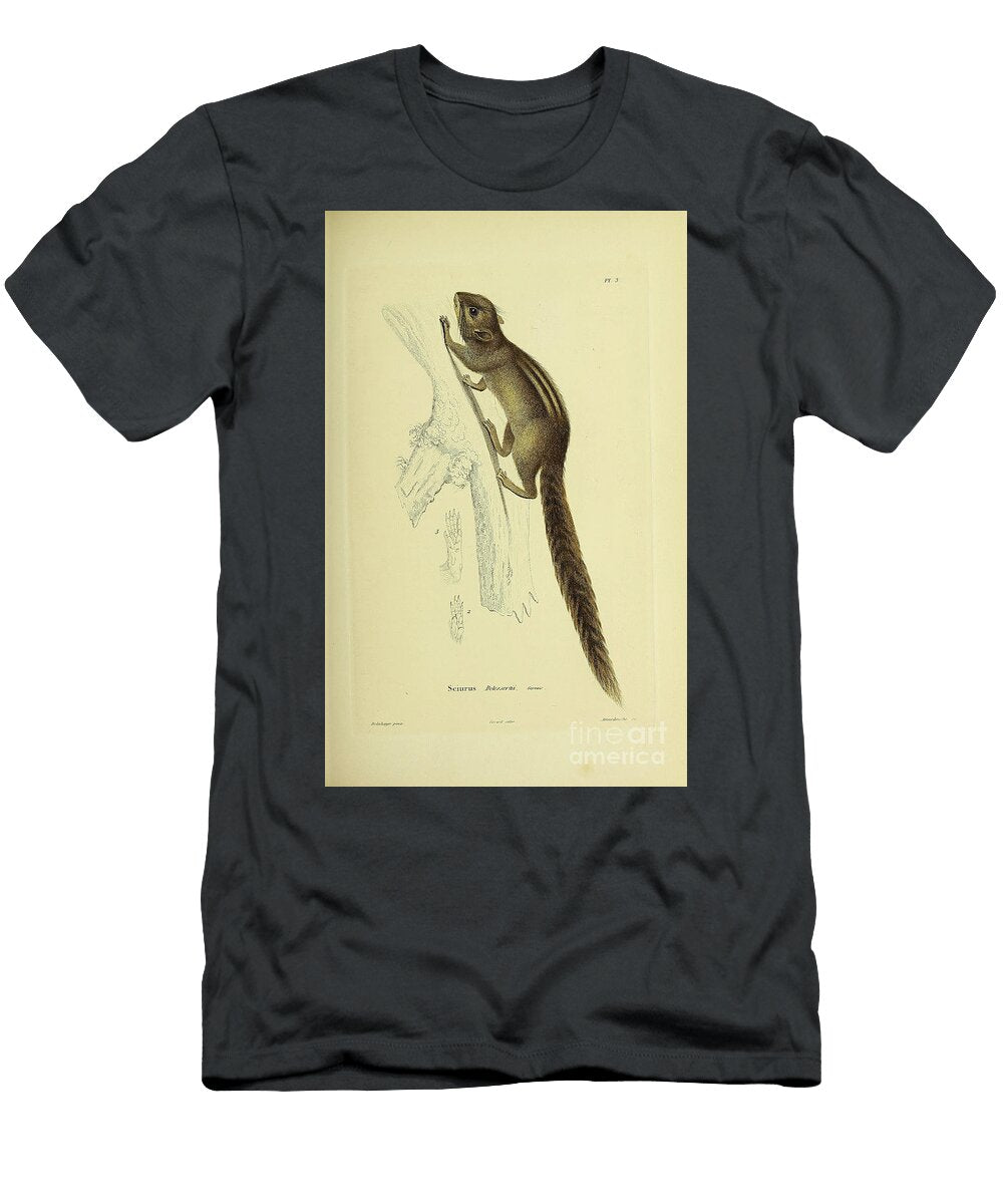 Tree Squirrel Souvenirs From a Voyage to India 1843 R1 Historic Illustrations T-Shirt