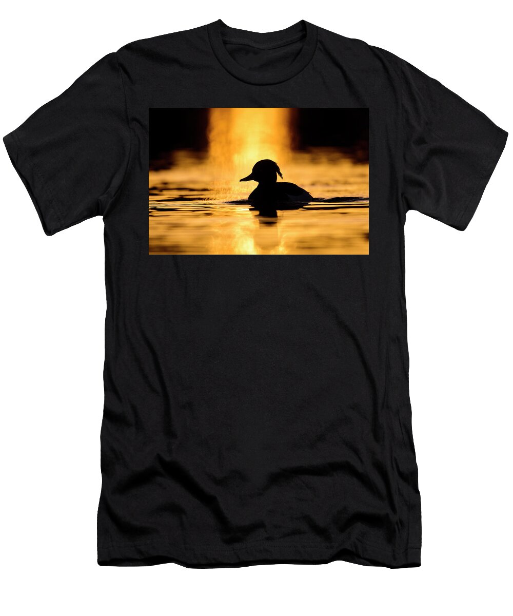 Tufted Duck Drake Swimming At Sunrise London Oscar Dewhurst Natureplcom T-Shirt