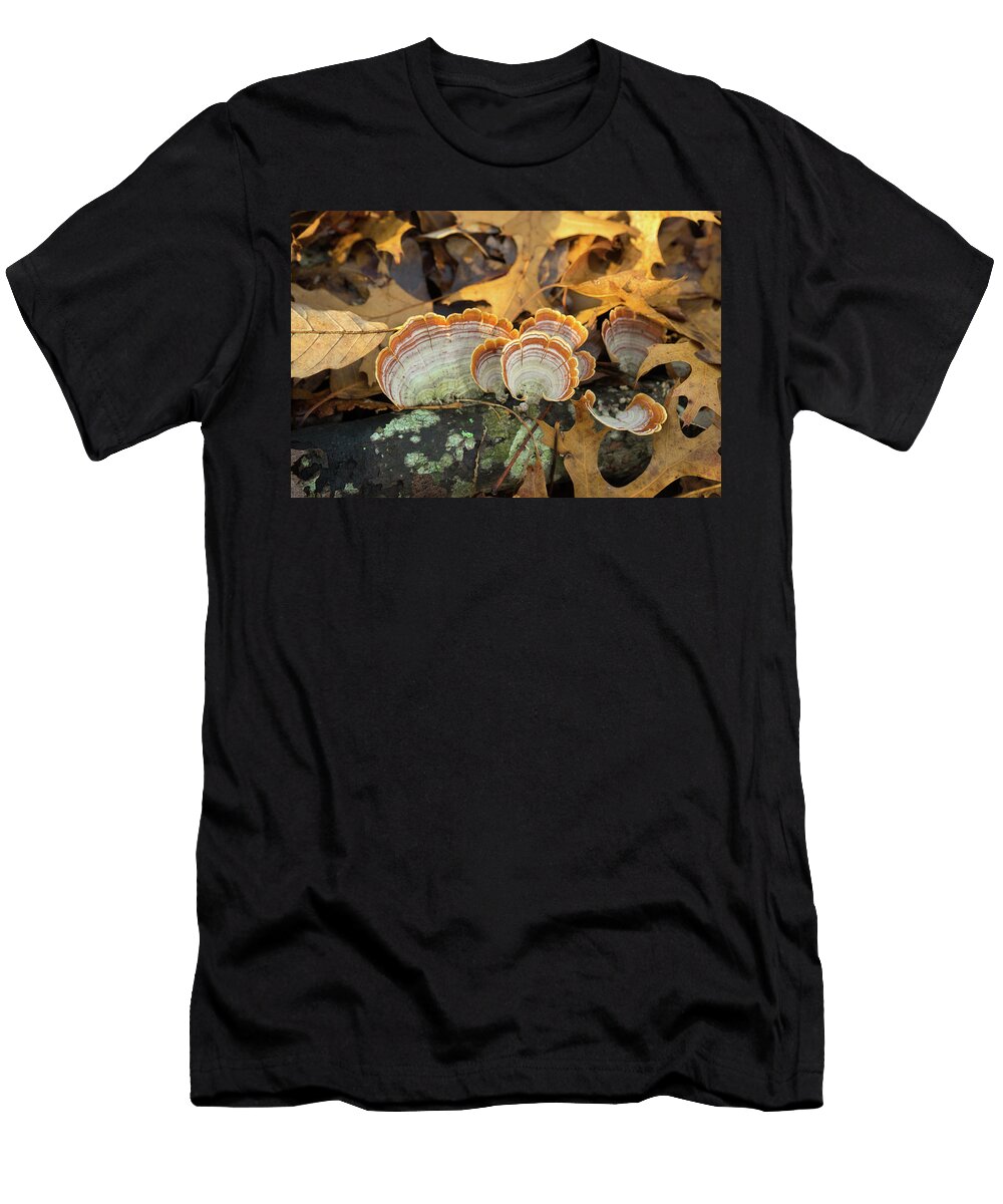 Turkey Tail Fungus and Oak Leaves Douglas Barnett T-Shirt
