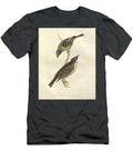 Tyrannula Pusilla Colourised Plate O1 Historic Illustrations T-Shirt