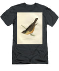 Tyrannula Saya Flycatcher O1 Historic Illustrations T-Shirt