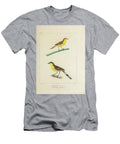 Tyrant Birds of South America 1835 U1 Historic Illustrations T-Shirt