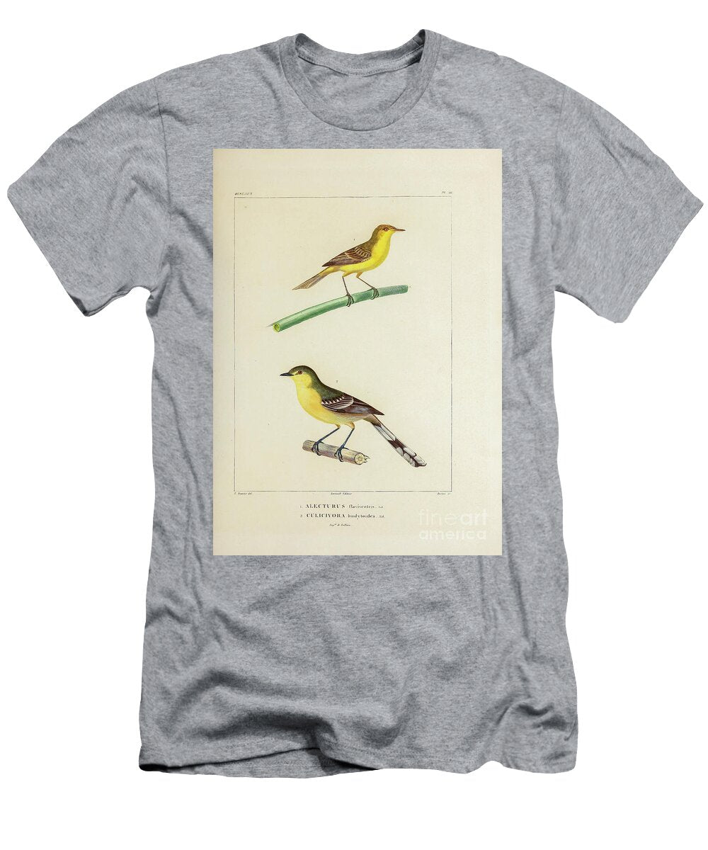 Tyrant Birds of South America 1835 U1 Historic Illustrations T-Shirt