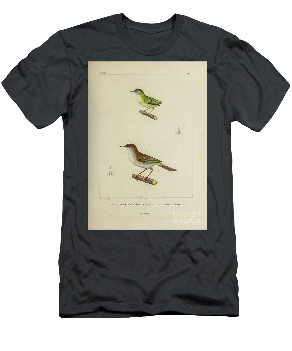 Tyrant Flycatcher of South America 1835 U1 Historic Illustrations T-Shirt