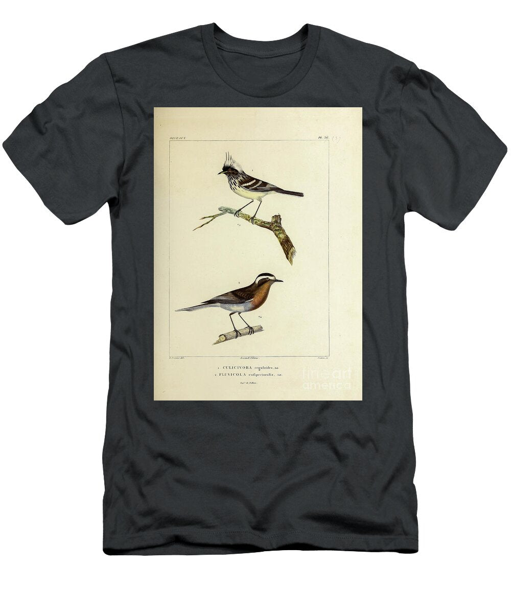 Tyrants of South America 1835 U2 Historic Illustrations T-Shirt