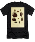 Unio Bivalve Freshwater Mussels B1 Historic Illustrations T-Shirt